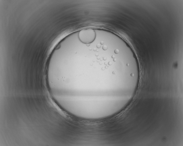 X0000115651235200912221324