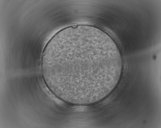 X0000115651236200912221324