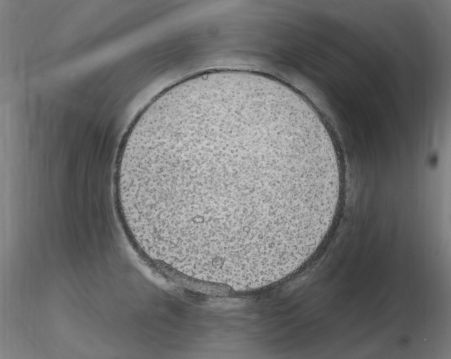 X0000115651237200912221324
