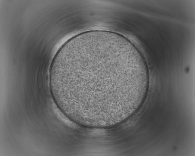 X0000115651238200912221324