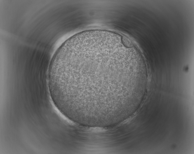 X0000115651239200912221324