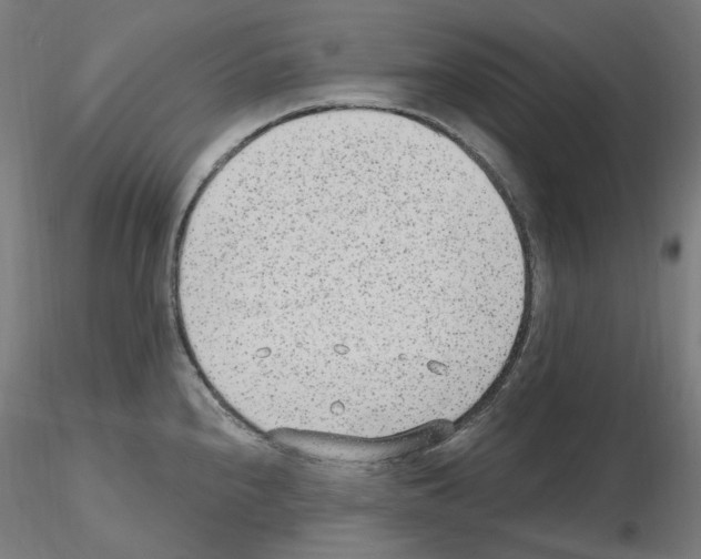 X0000115651240200912221324