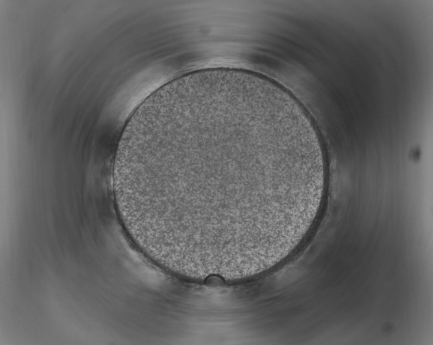 X0000115651241200912221324