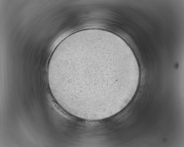 X0000115651242200912221324