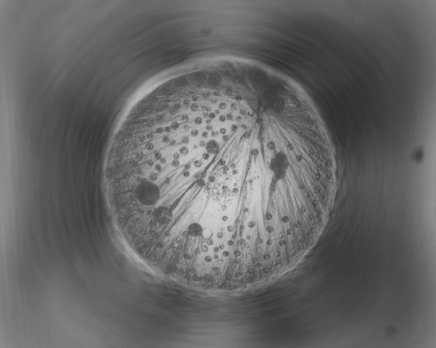X0000115651243200912221324