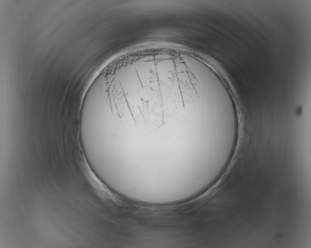 X0000115651244200912221324