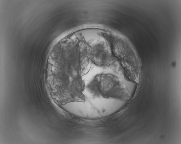 X0000115651245200912221324