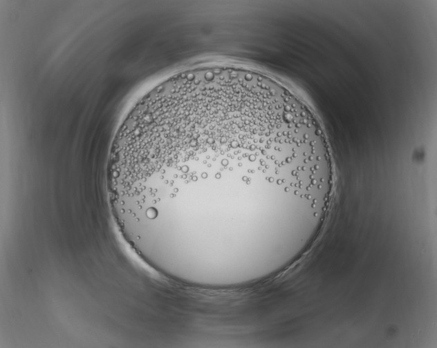 X0000115651247200912221324