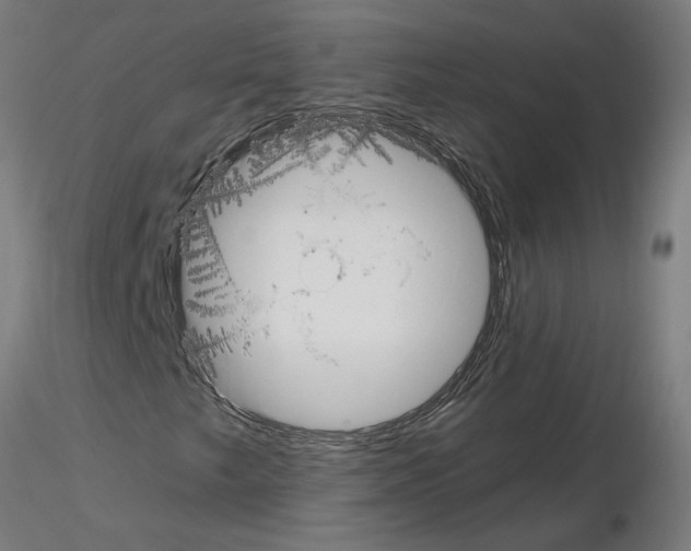 X0000115651249200912221324