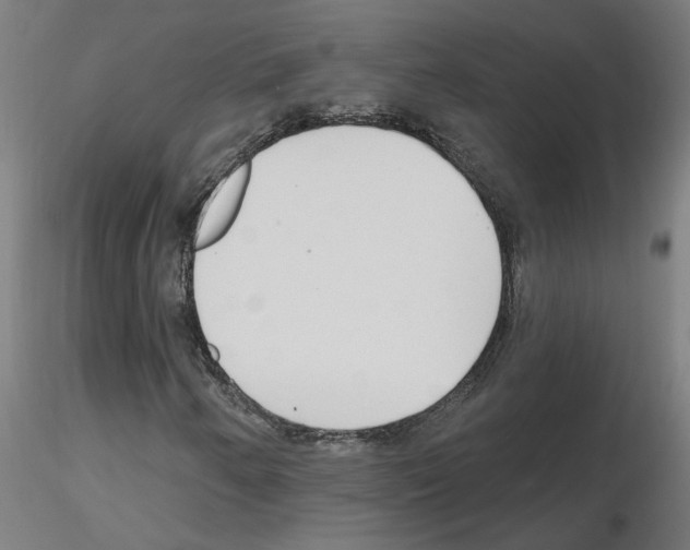 X0000115651250200912221324