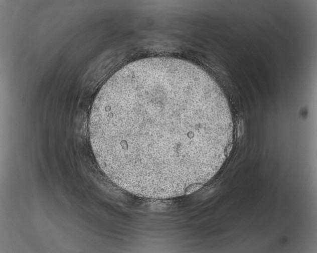 X0000115651251200912221324