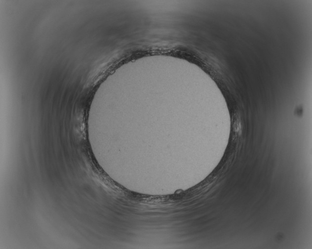 X0000115651252200912221324