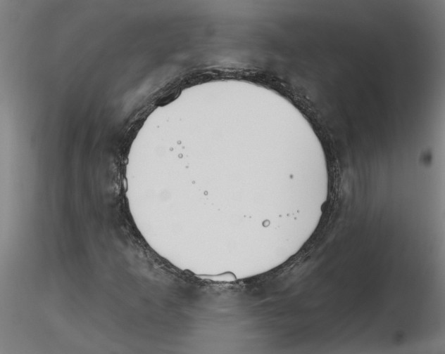 X0000115651253200912221324