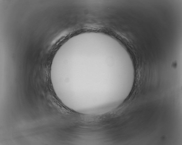 X0000115651254200912221324