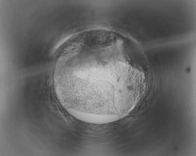 X0000115651255200912221324