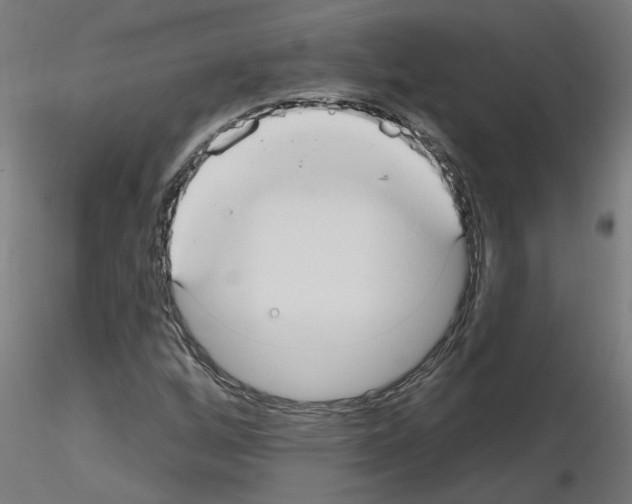 X0000115651256200912221324