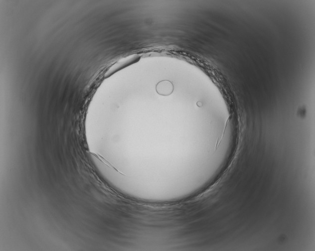 X0000115651257200912221324