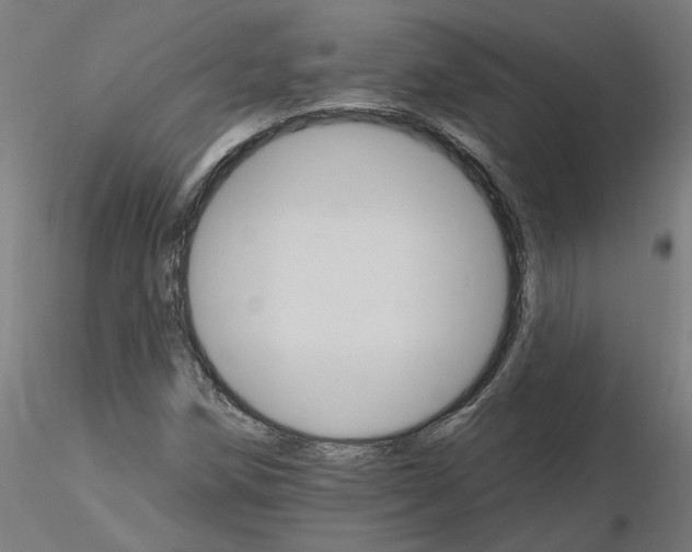 X0000115651258200912221324
