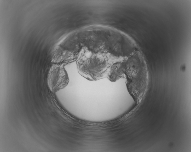X0000115651259200912221324