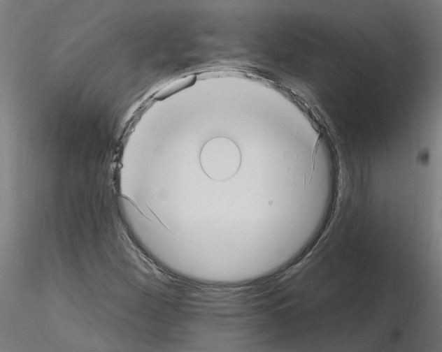 X0000115651260200912221323