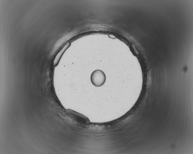X0000115651261200912221323