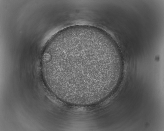 X0000115651263200912221323