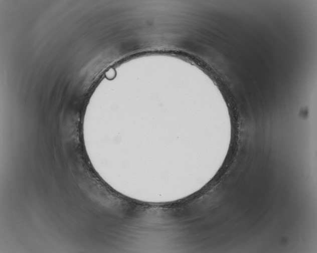 X0000115651265200912221323