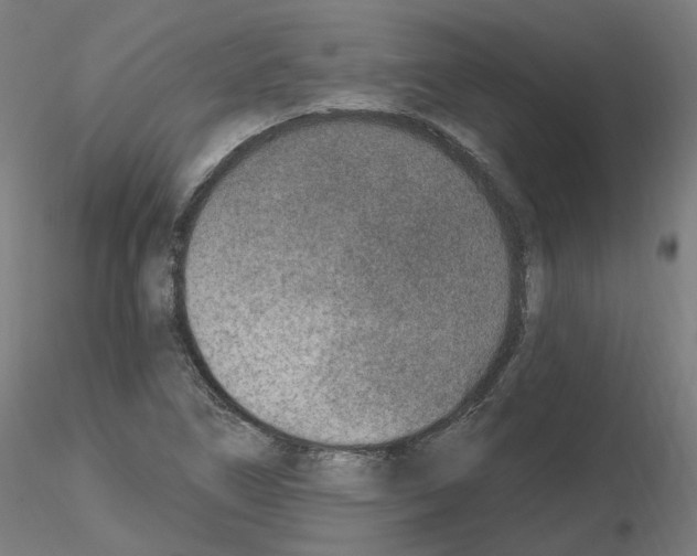 X0000115651266200912221323