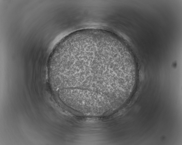 X0000115651267200912221323