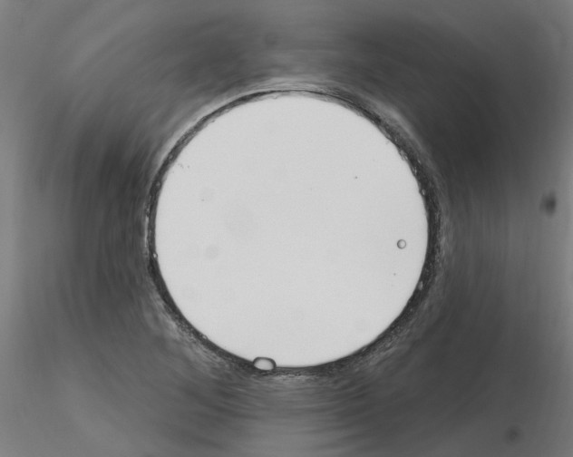 X0000115651268200912221323