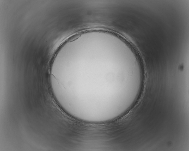 X0000115651269200912221323