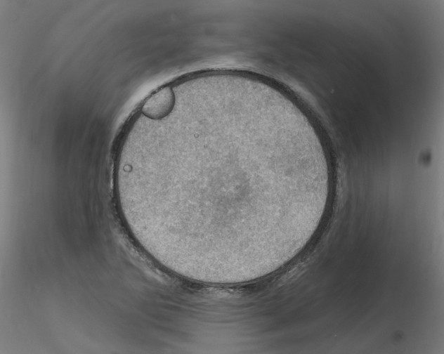 X0000115651270200912221323