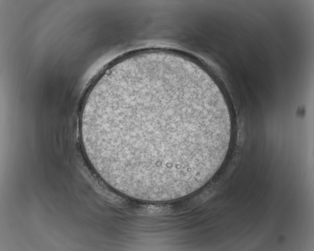 X0000115651271200912221323