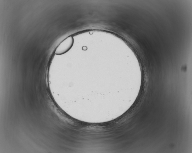 X0000115651272200912221323
