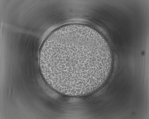 X0000115651275200912221323