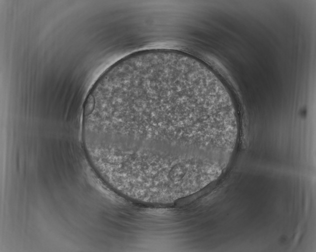 X0000115651276200912221323