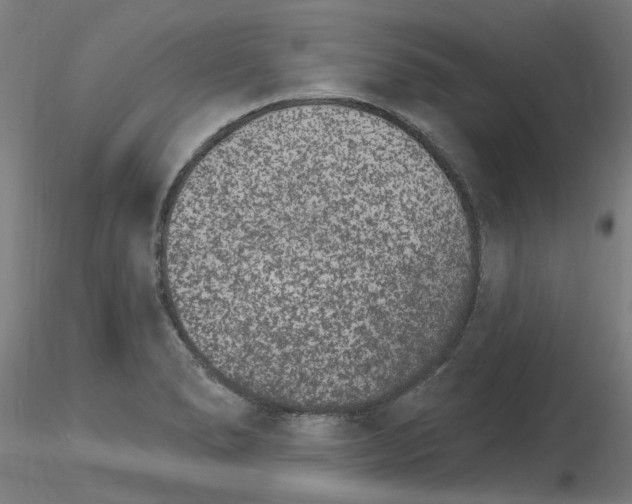 X0000115651278200912221323