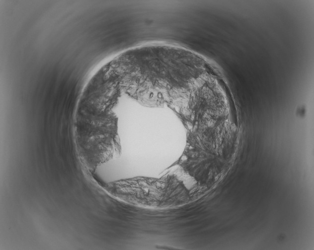 X0000115651279200912221323