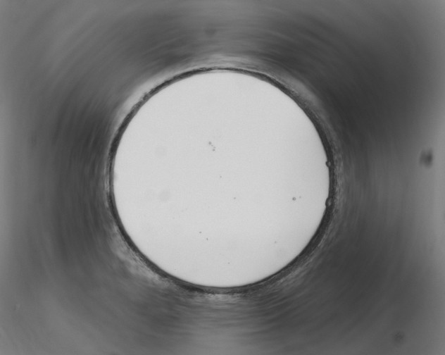 X0000115651280200912221323