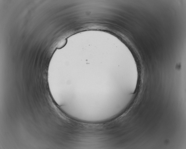 X0000115651281200912221323