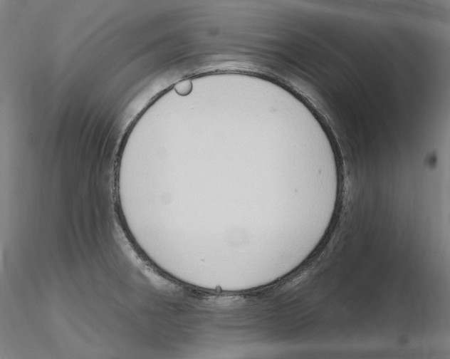 X0000115651282200912221323