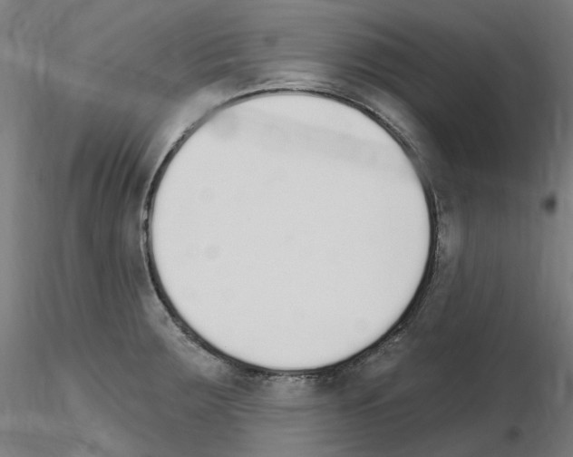 X0000115651283200912221323