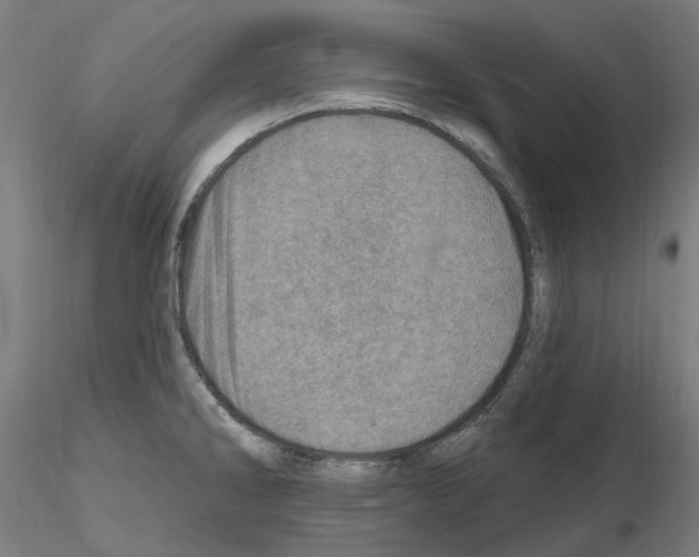 X0000115651286200912221323