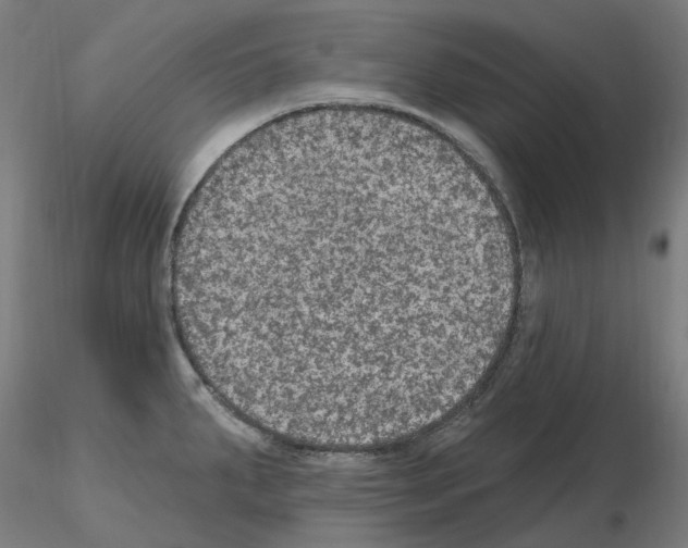 X0000115651287200912221323
