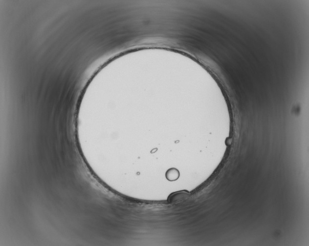 X0000115651288200912221323