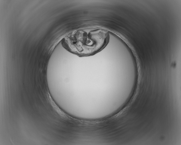 X0000115651289200912221323