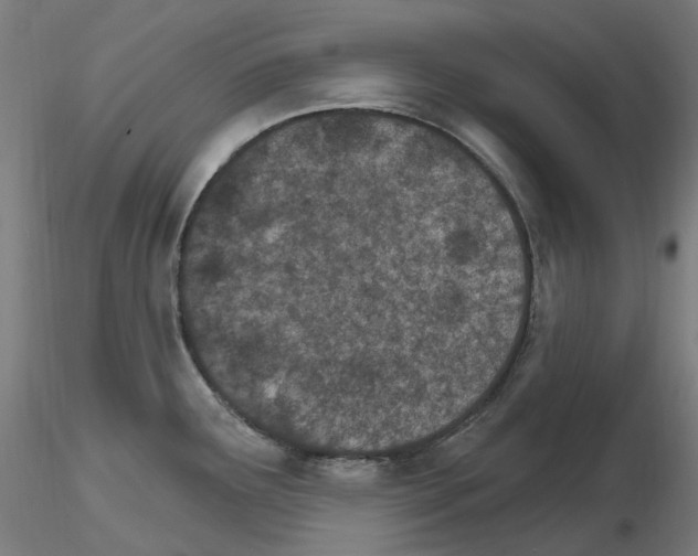X0000115651291200912221323