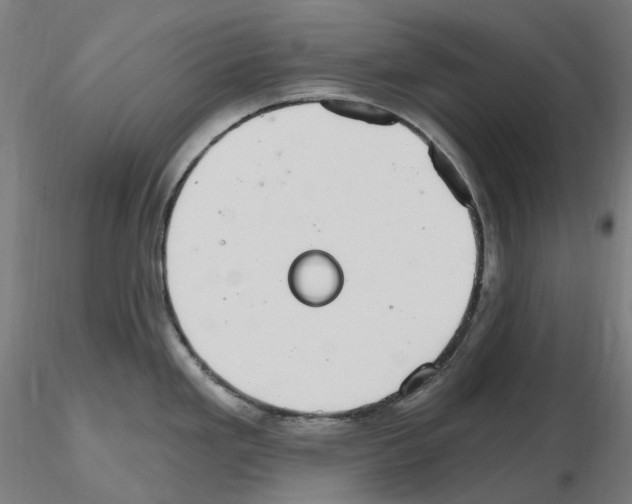 X0000115651293200912221323
