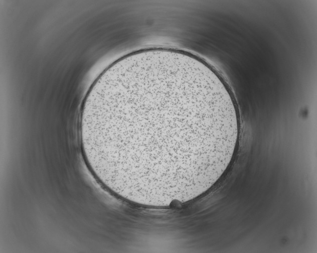 X0000115651295200912221323