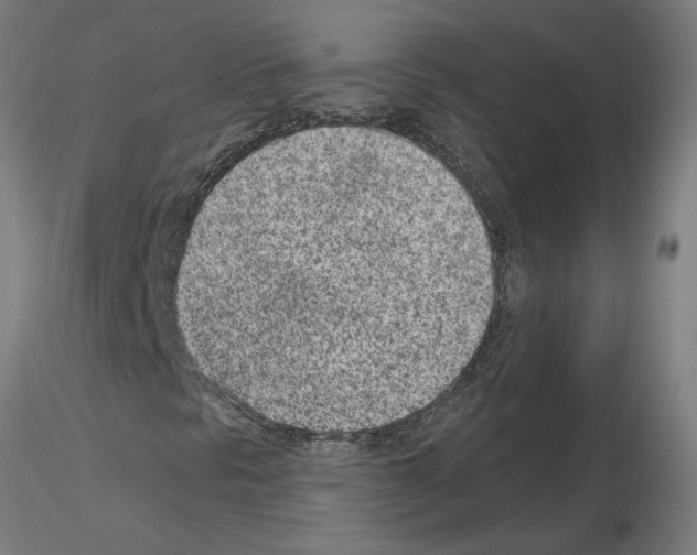 X0000115651297200912221322